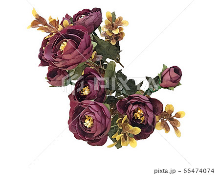 花 フラワー お花 66474074