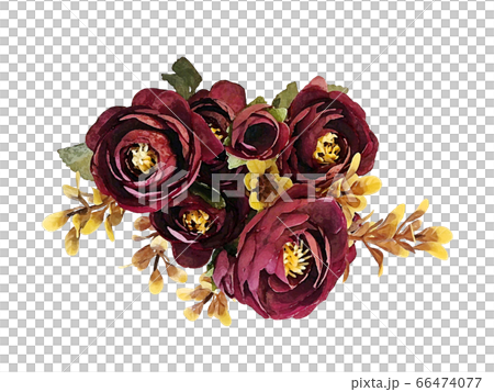 花 フラワー お花 66474077