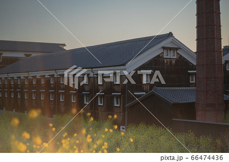 京都市伏見区の春菜の花の咲く酒蔵を撮影したもの 京都市伏見区の春菜の花の咲く酒蔵を撮影したもの 66474436
