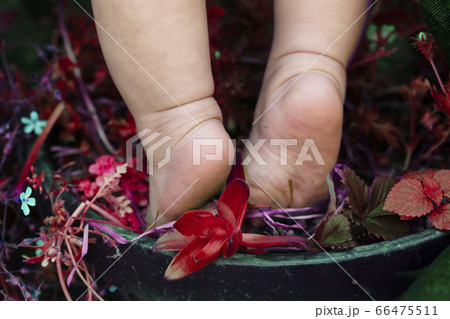 植木鉢に乗って背伸びする赤ちゃんの裸足と足の裏と赤い植物の写真素材