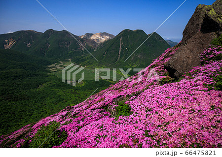 《大分県 九重連山》 平治岳のミヤマキリシマと坊がつると三股山 66475821