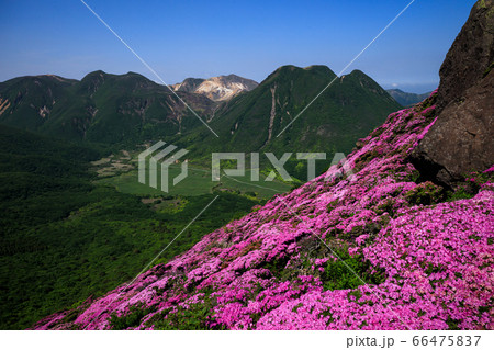 《大分県 九重連山》 平治岳のミヤマキリシマと坊がつると三股山 66475837