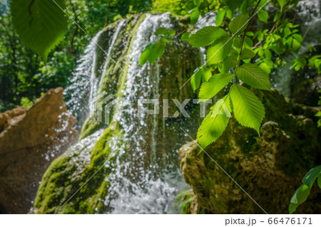 Waterfall in a fresh green forest. Crimea, Silver Waterfall in a fresh green forest. Crimea, Silver 66476171