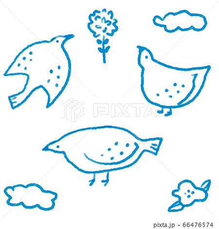 Hand drawn bird illustration vector set 66476574