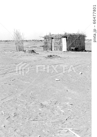 in the desert of stone the poor house of people 66477801