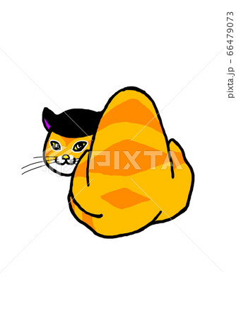 猫 麦藁 猫 麦藁 66479073