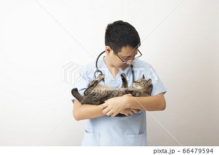 猫を抱いて顔を見る獣医師 66479594