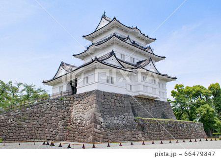 神奈川県　小田原城　天守 66479847