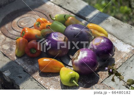 Various baked vegetables cooked on a stove. 66480182