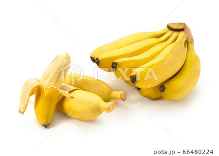 ベイビースウィートバナナ ベイビースウィートバナナ 66480224