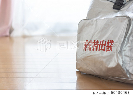 非常持ち出し袋　備蓄イメージ 66480463