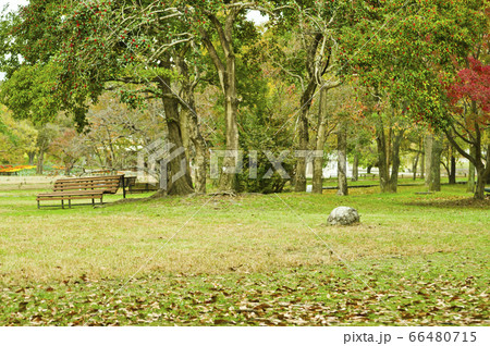 ●大阪にある万博記念公園の風景。 ●大阪にある万博記念公園の風景。 66480715