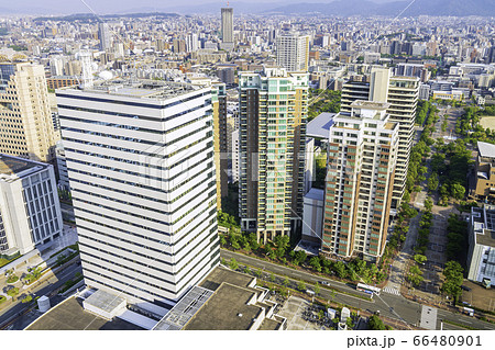 福岡タワーから見る美しい景色　サザエさん通り方面 66480901