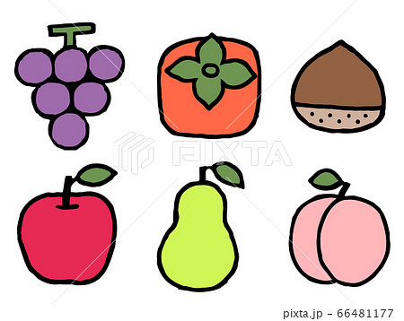 秋の果物 フルーツ イラストセットのイラスト素材