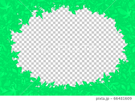敷詰め_もみじ(青葉)_窓_楕円_横長 敷詰め_もみじ(青葉)_窓_楕円_横長 66481609