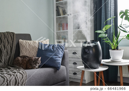 Ultrasonic cool mist humidifier 66481966