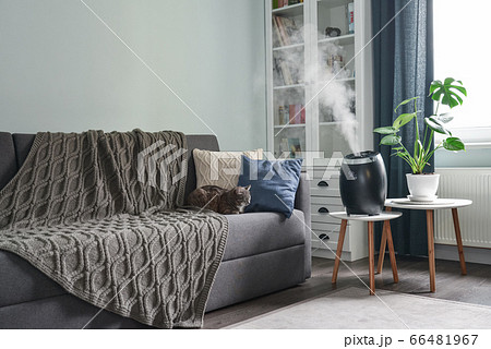 Ultrasonic cool mist humidifier 66481967