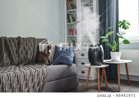 Ultrasonic cool mist humidifier Ultrasonic cool mist humidifier 66481971