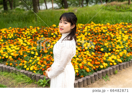 アオザイを着た女性 アオザイを着た女性 66482871