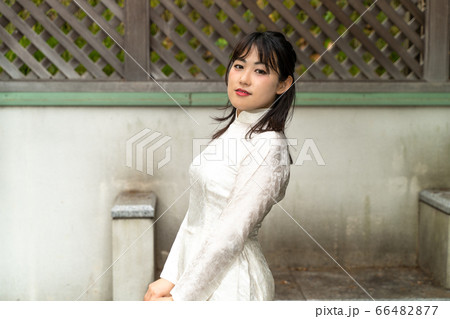 アオザイを着た女性 アオザイを着た女性 66482877