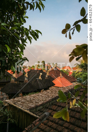 Sunrise at cozy small Ubud. 66482879