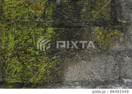 Old concrete moss-covered wall. 66483349