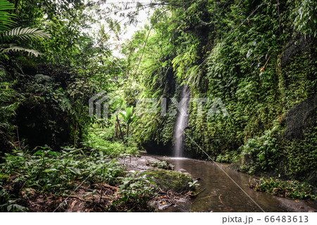 Tukad Cepung waterfall Tukad Cepung waterfall 66483613