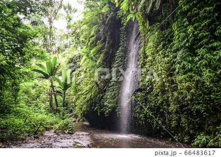 Tukad Cepung waterfall Tukad Cepung waterfall 66483617