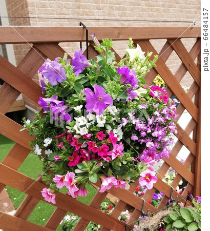 ハンギング　１ 66484157