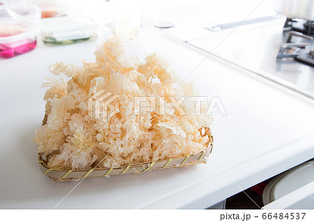 キッチンに白きくらげを用意 66484537