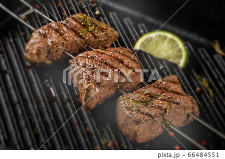 串焼きバーベキュー　Skewers barbecue to enjoy outdoors  66484551