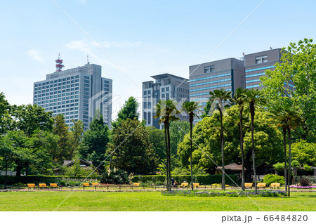 初夏の日比谷公園 初夏の日比谷公園 66484820