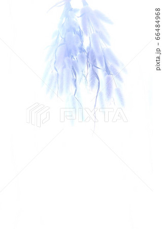 ドライフラワーシルエット ドライフラワーシルエット 66484968