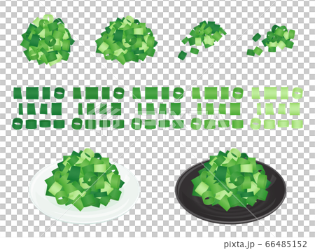 插圖的蔥切成小塊_調味品 66485152