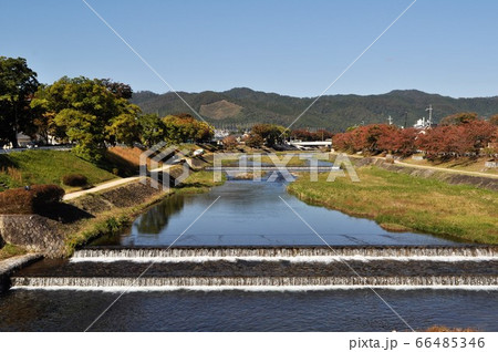 京都　上賀茂橋から賀茂川を望む 66485346