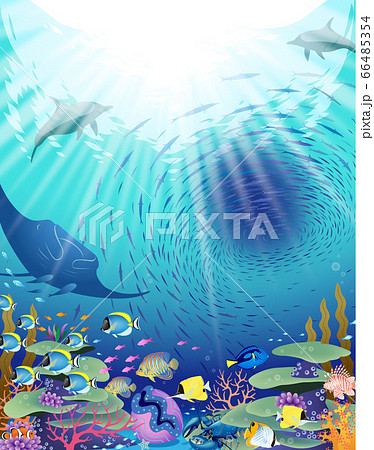 命溢れる海の世界のイラスト素材 [66485354] - PIXTA