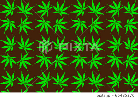 Cannabis plant background , Cannabis plant background , 66485370