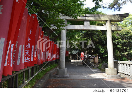 平塚八幡宮　神社　神奈川県 66485704