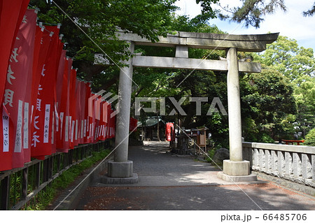 平塚八幡宮　神社　神奈川県 66485706