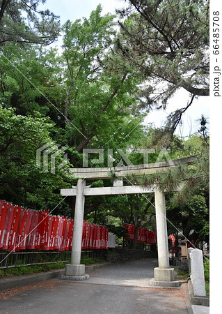 平塚八幡宮 神社 神奈川県 平塚八幡宮 神社 神奈川県 66485708