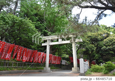 平塚八幡宮　神社　神奈川県 66485710