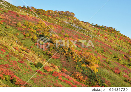 銀泉台の紅葉（北海道・上川町・大雪山系） 66485729