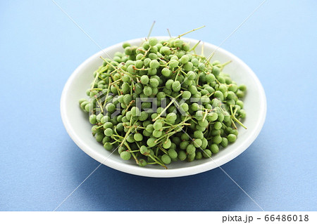 山椒 山椒 66486018