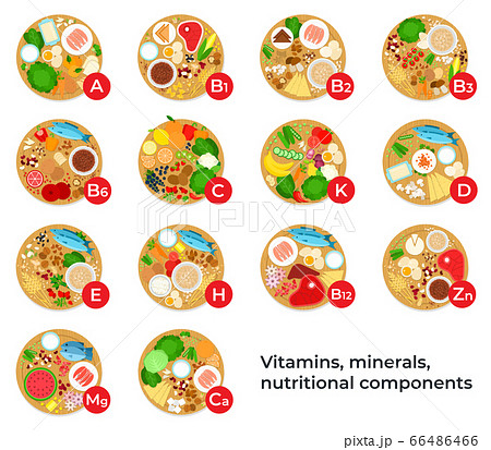Vitamins, minerals, nutritional components food flat vector icons. 66486466