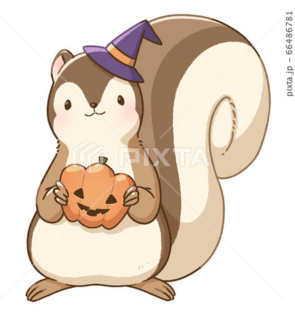 リス ハロウィン かぼちゃのイラスト素材