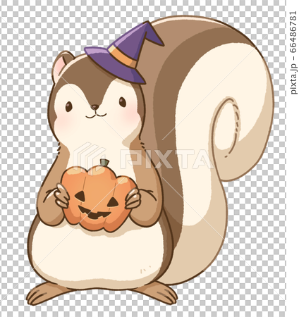 リス ハロウィン かぼちゃのイラスト素材