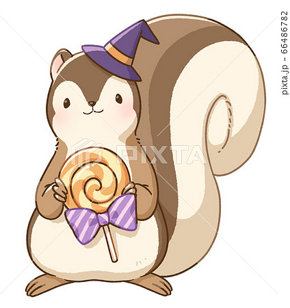 リス　ハロウィン　キャンディ 66486782