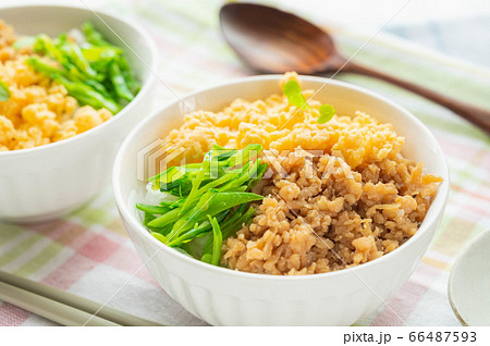 鶏そぼろ丼 鶏そぼろ丼 66487593