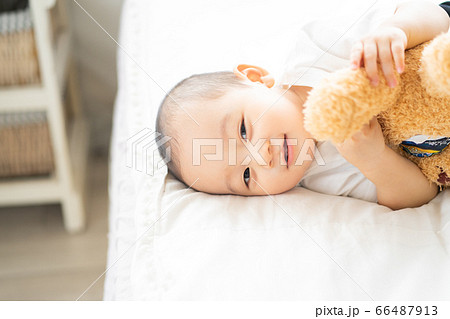 A little boy play on the bed A little boy play on the bed 66487913