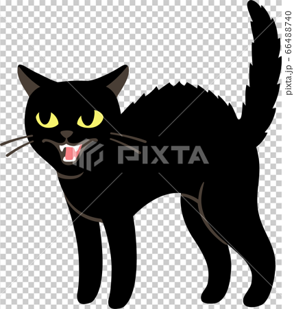Angry Black Catのイラスト素材